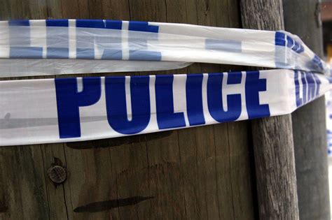 sulive|silive crime.